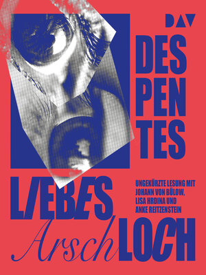 cover image of Liebes Arschloch